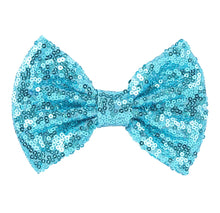 Load image into Gallery viewer, 5 Inch Sequin Sparkle